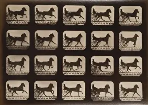 Horse and Sulkey Print, c1881