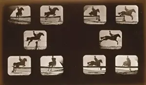 Equestrian Photography Prints: Horses. Leaping