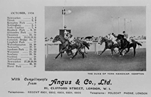 Horses running in Duke of York Handicap, Kempton Park Horses running in Duke of York Handicap, Kempton Park