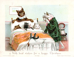 Five humanised cats on a Christmas card Five humanised cats on a Christmas card