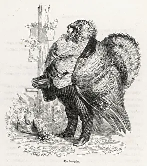 Humanised turkey in the role of a banker Humanised turkey in the role of a banker