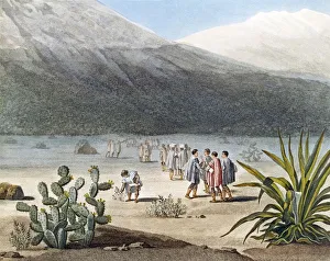 Humboldt and his party collecting plant Humboldt and his party collecting plant
