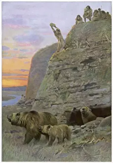 Early Human Evolution Prints: Hunting Cave-Bear