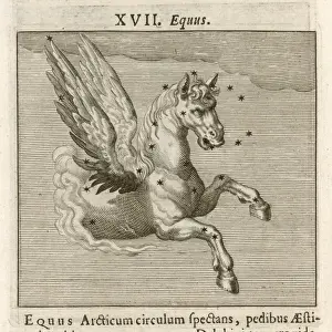 Hyginus Equus Print: Antique engraving of a horse