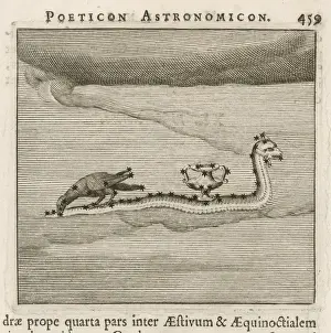 Greek Mythology Creatures Prints: Hyginus / Hydra