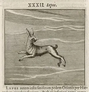 Roman Mythological Creatures Prints: Hyginus / Lepus