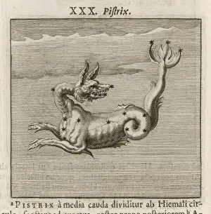 Ancient Greek Constellations Prints: Hyginus / Pistrix