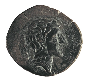 Iberian coin of the city of Saitabi (Jᴩva) Iberian coin of the city of Saitabi (Jᴩva)