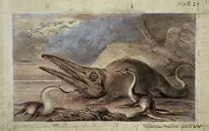 Early Jurassic Marine Reptiles Print