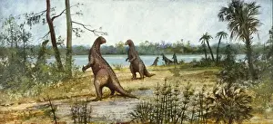 Iguanodon in a Wealden Reed Swamp Print, Lower Cretaceous Period