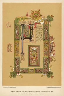 Illumination from the MacDumon Gospel Illumination from the MacDumon Gospel