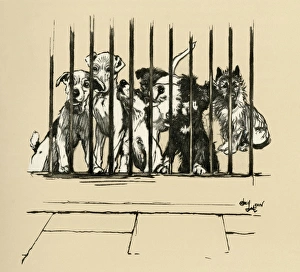 Illustration by Cecil Aldin, Battersea Dogs Home Illustration by Cecil Aldin, Battersea Dogs Home