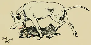 Illustration by Cecil Aldin, Cracker and Bogie Illustration by Cecil Aldin, Cracker and Bogie