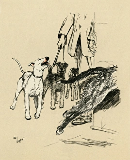 Illustration by Cecil Aldin, dogs at supper time Illustration by Cecil Aldin, dogs at supper time