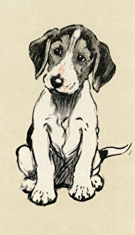 Illustration by Cecil Aldin, foxhound puppy Illustration by Cecil Aldin, foxhound puppy