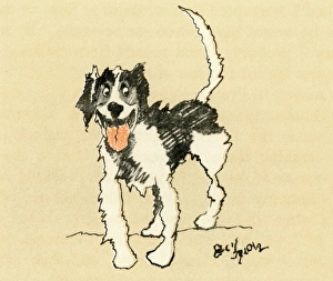 Illustration by Cecil Aldin, French hound Illustration by Cecil Aldin, French hound