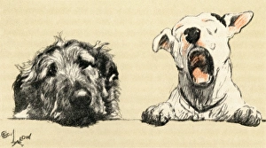 Illustration by Cecil Aldin, Micky and Cracker Illustration by Cecil Aldin, Micky and Cracker