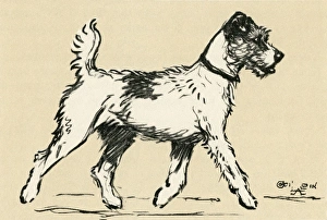 Illustration by Cecil Aldin, Tatters exploring a town Illustration by Cecil Aldin, Tatters exploring a town