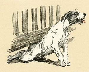 Illustration by Cecil Aldin, terrier returning home Illustration by Cecil Aldin, terrier returning home