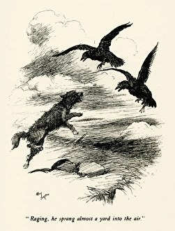 Illustration by Cecil Aldin, The Wild Horses of Iceland Illustration by Cecil Aldin, The Wild Horses of Iceland