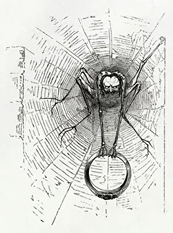 Illustration, Cymbeline, by William Shakespeare Illustration, Cymbeline, by William Shakespeare