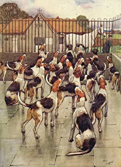 Illustration, foxhounds howling in chorus Illustration, foxhounds howling in chorus