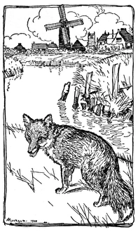 Illustration, The Marriage of Mrs Reynard Illustration, The Marriage of Mrs Reynard