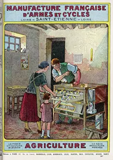 Rural Family Scene Prints: Incubating Chicks