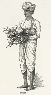 Traditional Indian Art Prints: Indian Malli