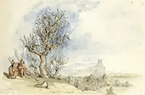 Indians under a Tree Print, British Guiana 1850s