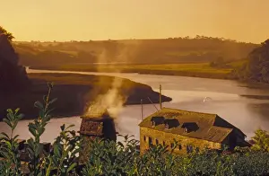Golden Hour River Scene Print