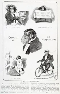 An Interview with Consul the Chimpanzee An Interview with Consul the Chimpanzee