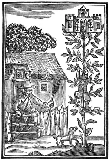 Fairy Tale Illustration Prints: Jack Spriggins and the Enchanted Bean