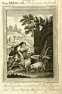 Thomas Bankes Artwork Prints: Jacob and the flocks of Laban