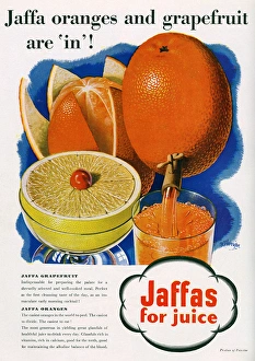 Jaffa oranges and grapefruit advertisement, 1938 Jaffa oranges and grapefruit advertisement, 1938
