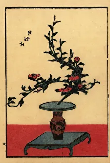 Japanese flower arrangement with camellia, tsubaki Japanese flower arrangement with camellia, tsubaki