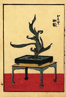 Japanese flower arrangement with lords and ladies Japanese flower arrangement with lords and ladies