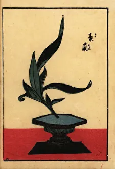 Japanese flower arrangement with orchid Japanese flower arrangement with orchid