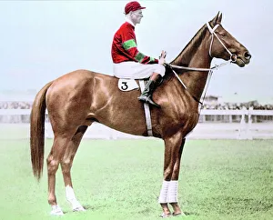 Jim Pike, Australian jockey, on his horse, Phar Lap Jim Pike, Australian jockey, on his horse, Phar Lap
