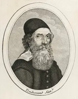 Antique Botanical Artwork Prints: John Tradescant (Elder)