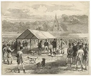 Horse Racing Events Prints: Judging Foxhounds