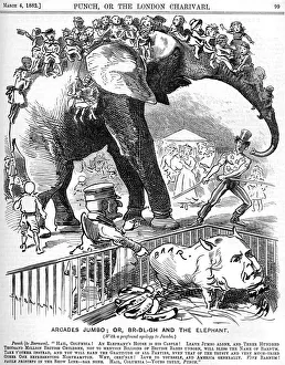 Jumbo the elephant versus Charles Bradlaugh Jumbo the elephant versus Charles Bradlaugh