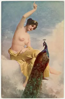 Juno and her Peacock Colour Print