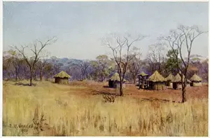 African plain Kaffir huts Print, 1905