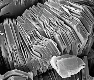 Scanning Electron Microscope Images Prints: Kaolinite