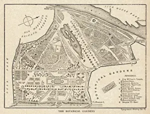 Prints of PLAN OF THE ARBORETUM (the botanical gardens are to the lower right) Royal Botanic Gardens, Kew Prints: Kew Arboretum Print