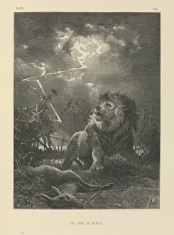 Wild Animal Art Prints: The King of Beasts