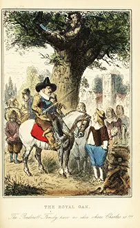 King Charles II hiding up an oak tree in Boscobel King Charles II hiding up an oak tree in Boscobel