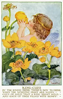 Postcard Collection For Kids Prints: King cups