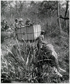 King George V shooting expedition 1911 King George V shooting expedition 1911